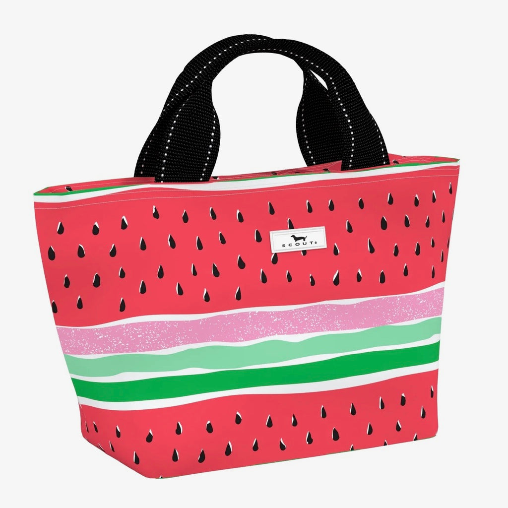 Scout Nooner Lunch Box