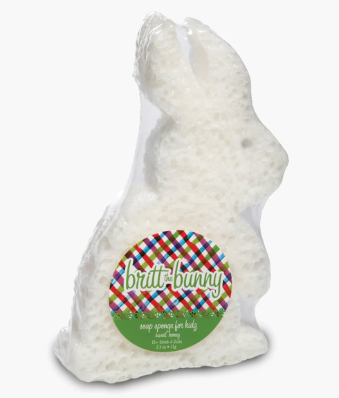 Caren Soap Sponges
