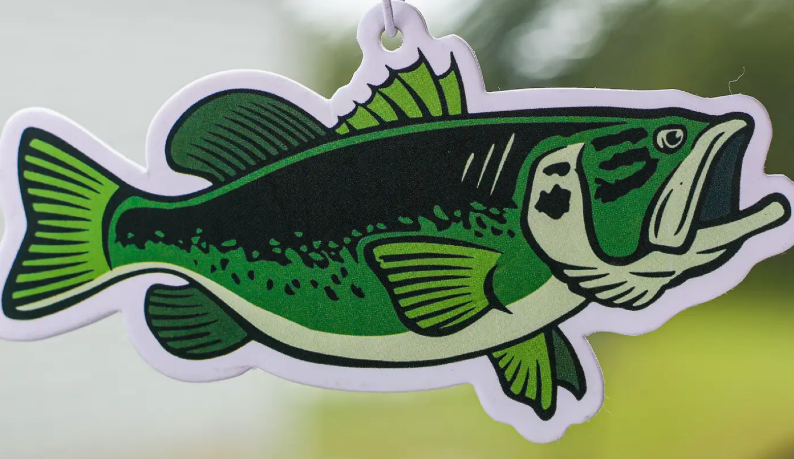 Scent South Air Fresheners
