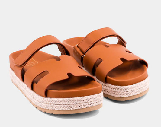 Izzy Camel Platform