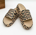 Leopard Popsicle Corky’s Slide