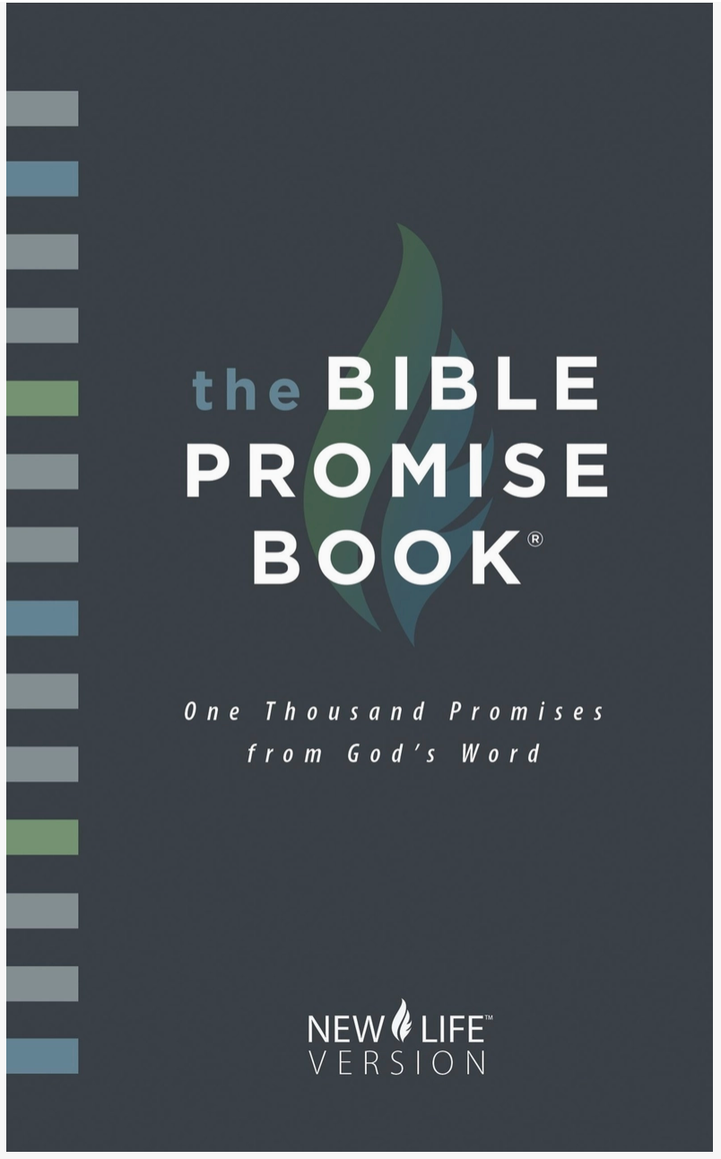 The Bible Promise Book - NlV