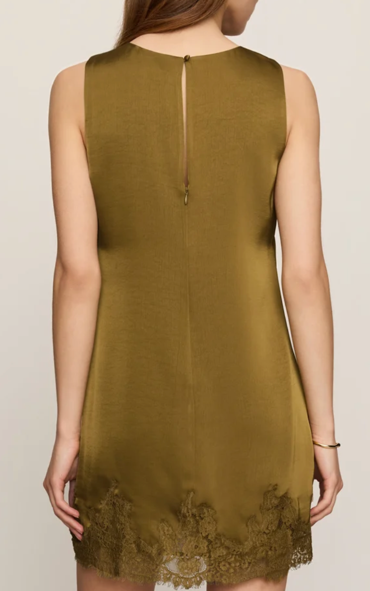 Meadow Muse Lace Mini Dress