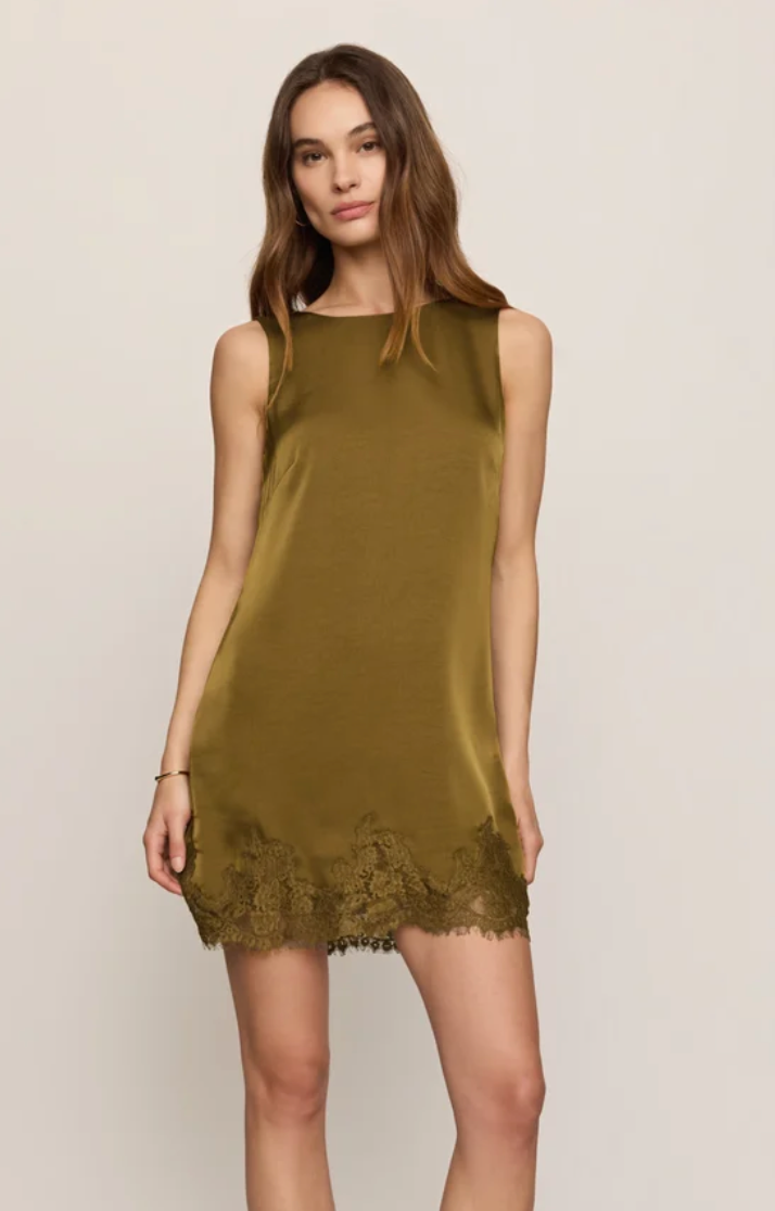 Meadow Muse Lace Mini Dress