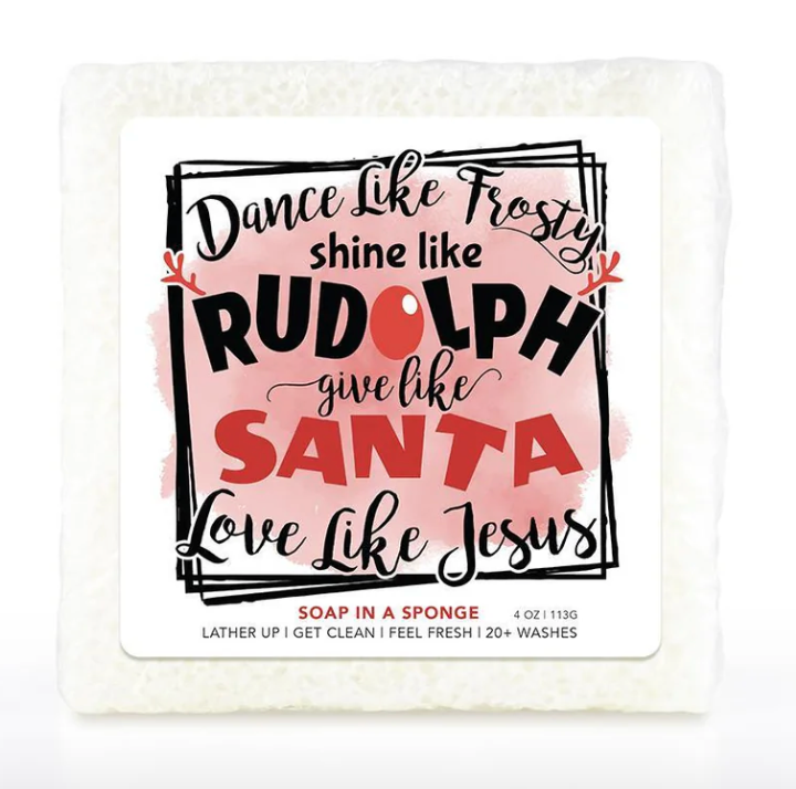 Caren Soap Sponges