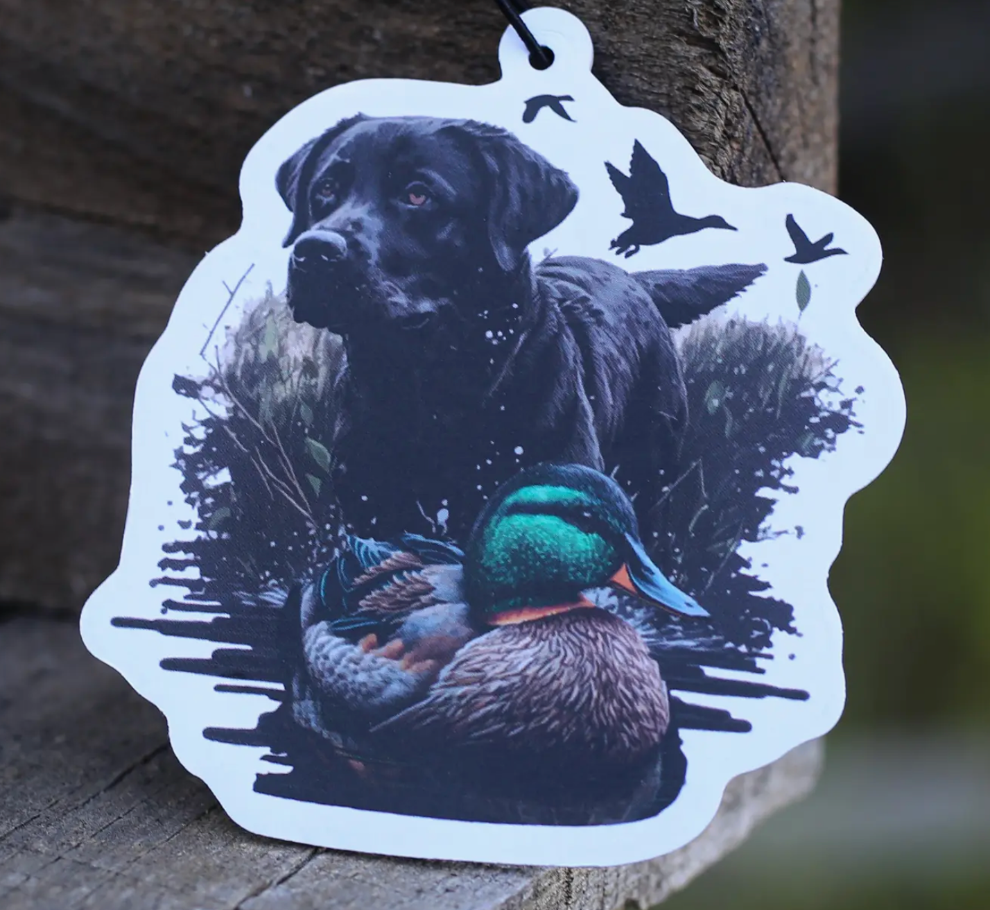 Scent South Air Fresheners