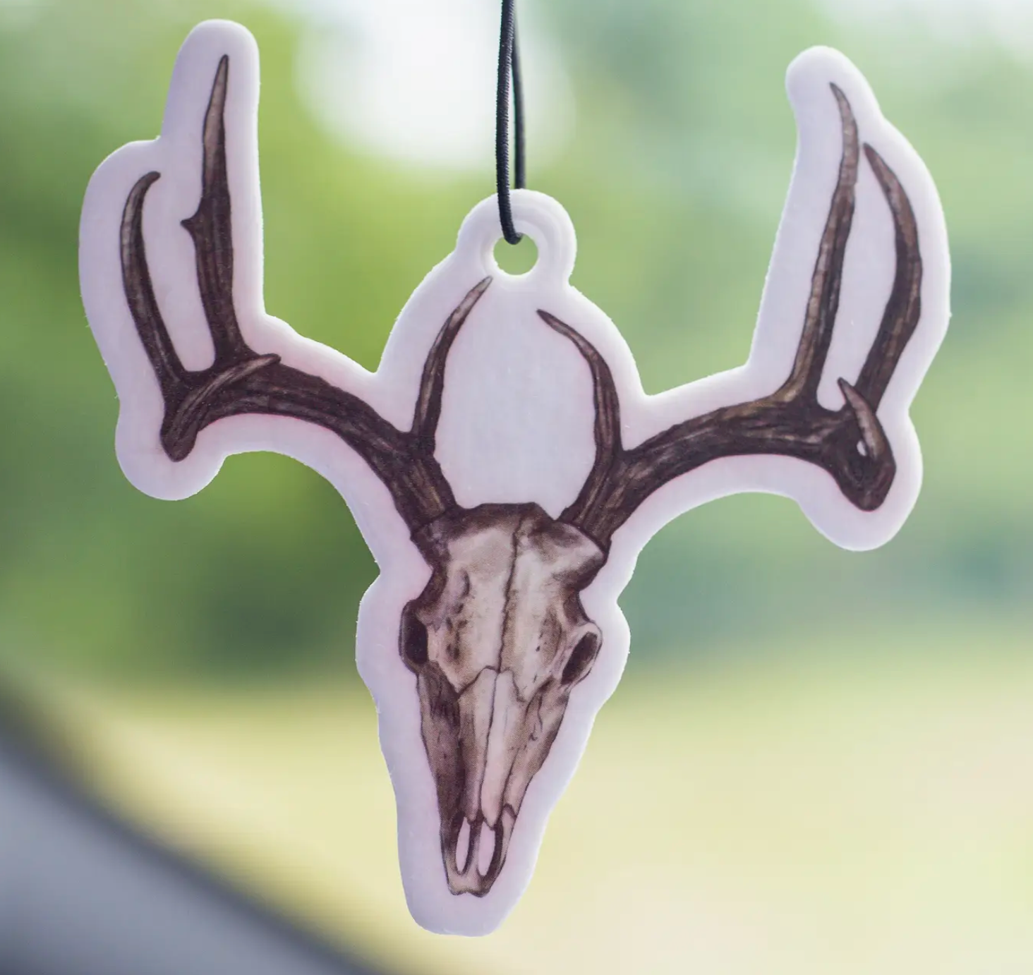 Scent South Air Fresheners