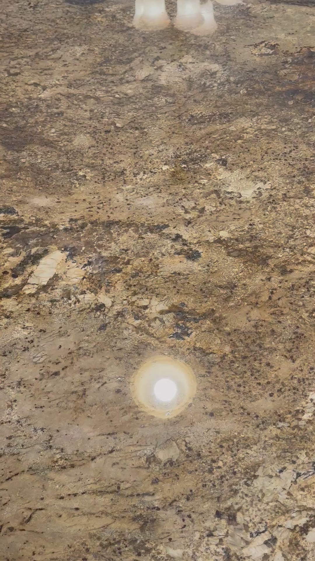 Mystery Grab Bag Shirt